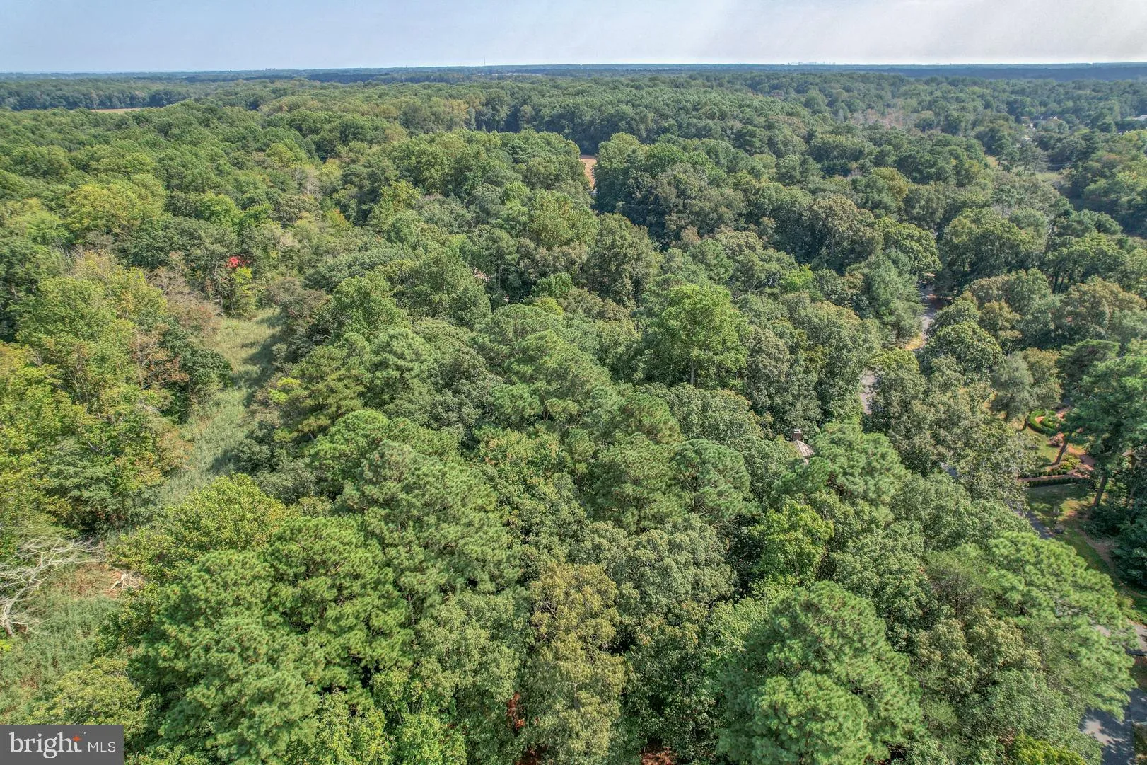 Additional image 41 of 10 Mallard Drive, Dagsboro, DE 19939