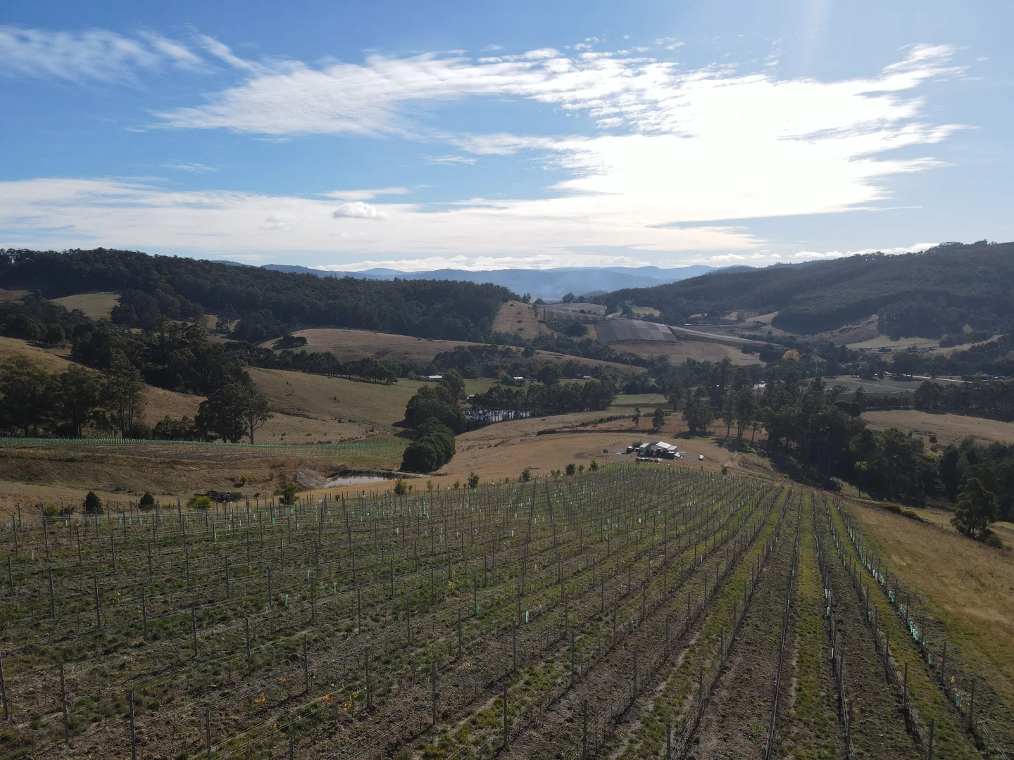 Additional image 10 of Lot 1 Wallace Road, Cygnet TAS 7112