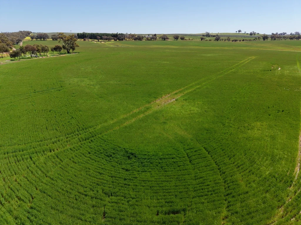 Additional image 52 of 1187 Dale - Kokeby Road, Kokeby WA 6304