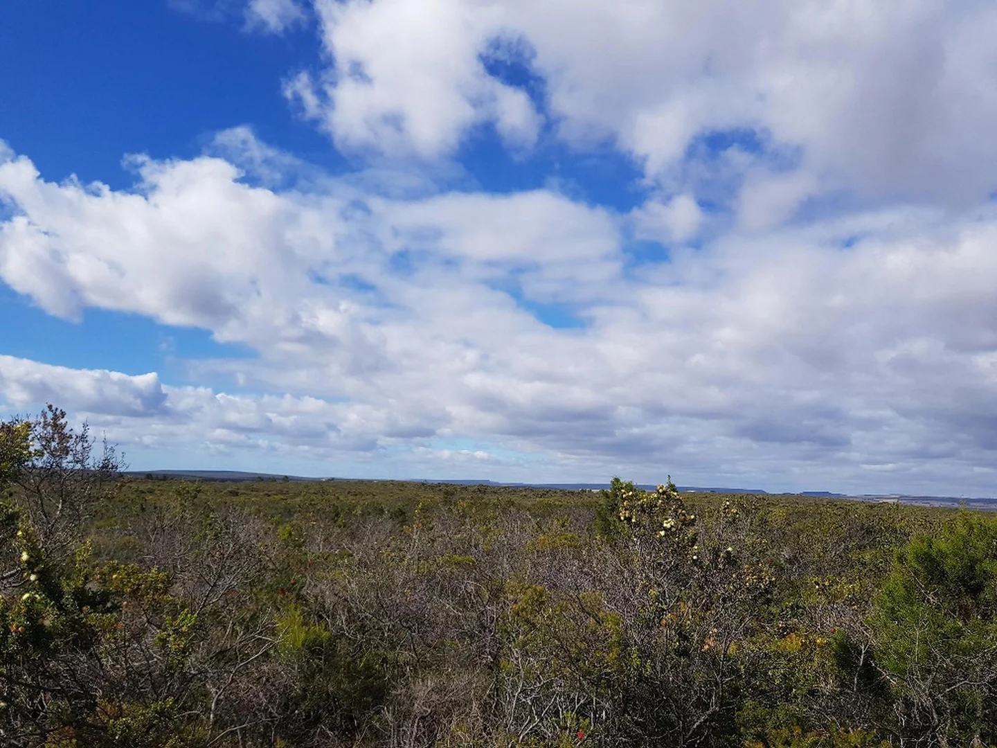 Additional image 7 of 277 PREMIER Drive, Jurien Bay WA 6516