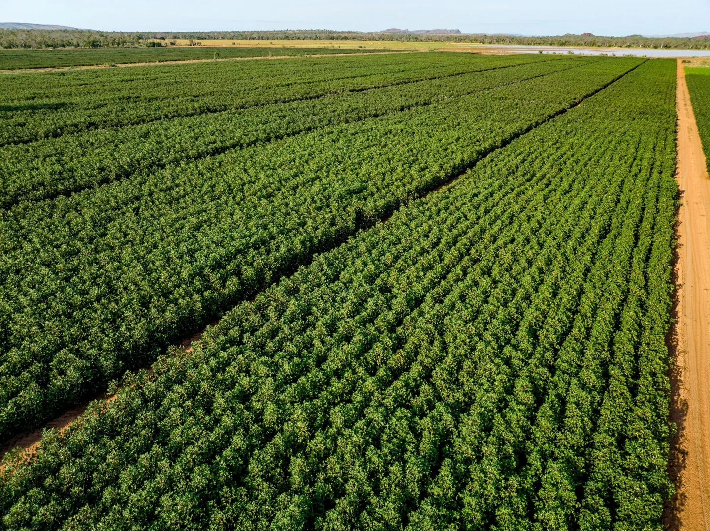 Additional image 10 of 349 Mulligans Lagoon Rd, Kununurra WA 6743