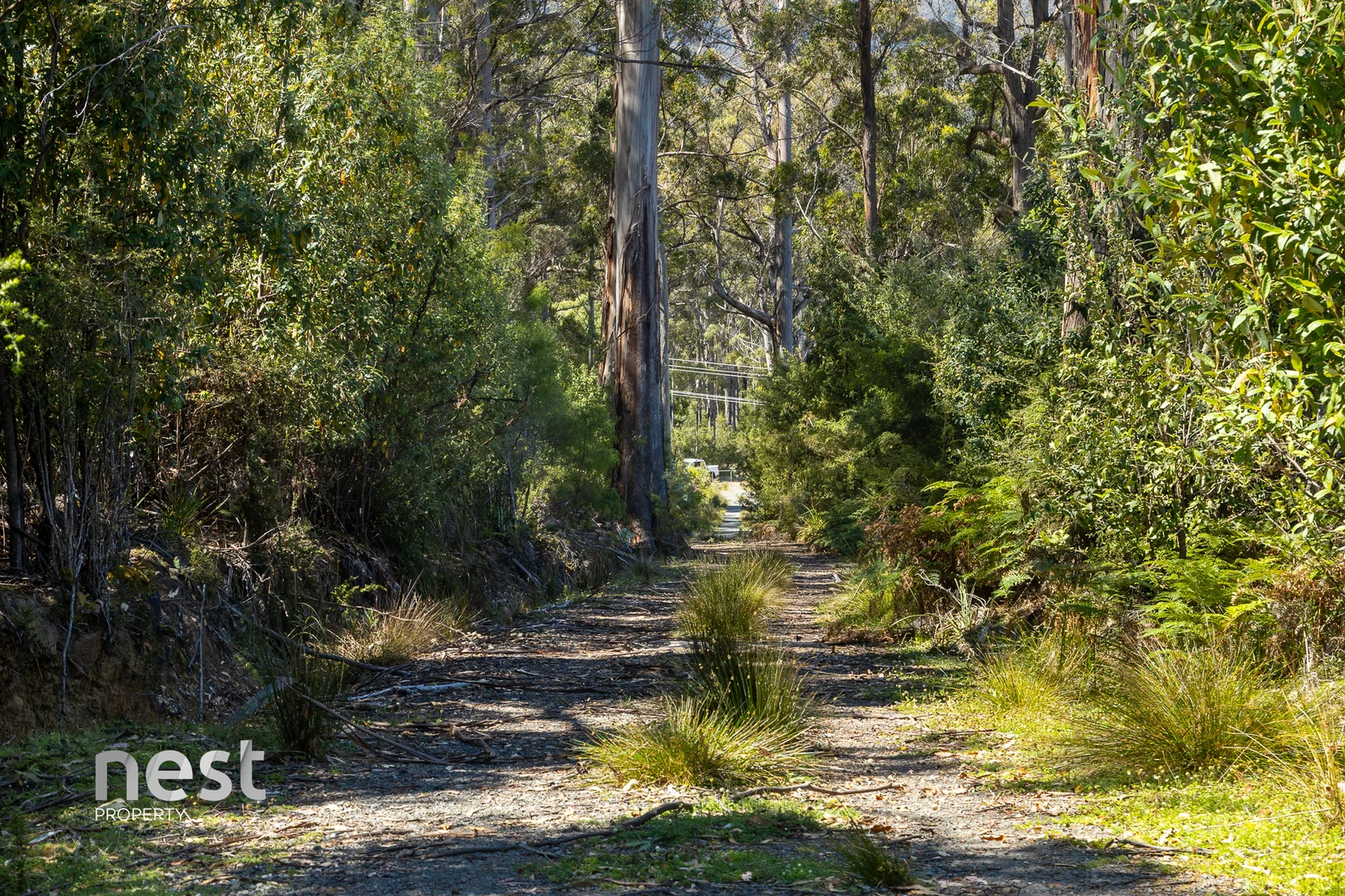 Additional image 18 of 4736 Arthur Highway, Murdunna TAS 7178