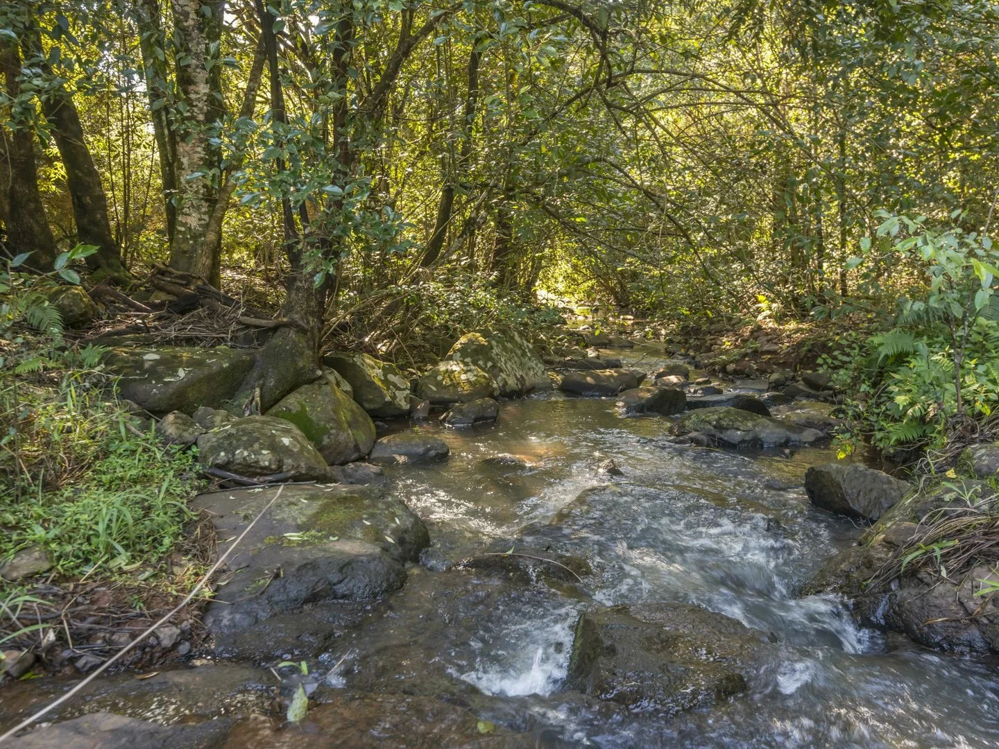 Additional image 6 of 710 Cowlong Road, Eltham NSW 2480