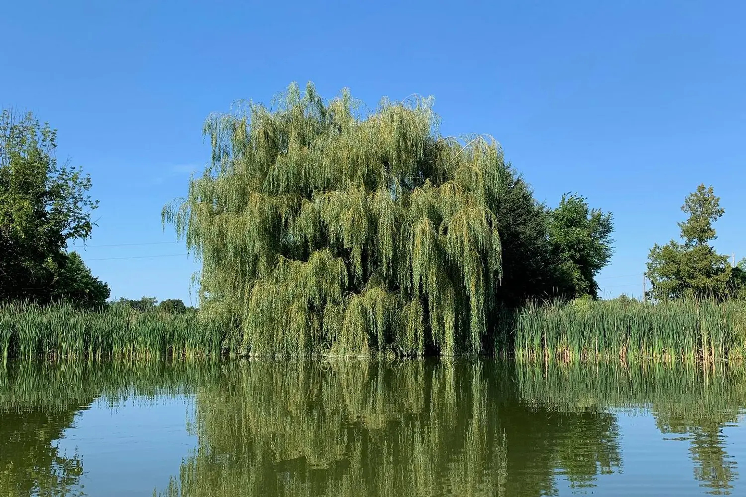 Additional image 17 of 6511 21/22 Nottawasaga Side Road