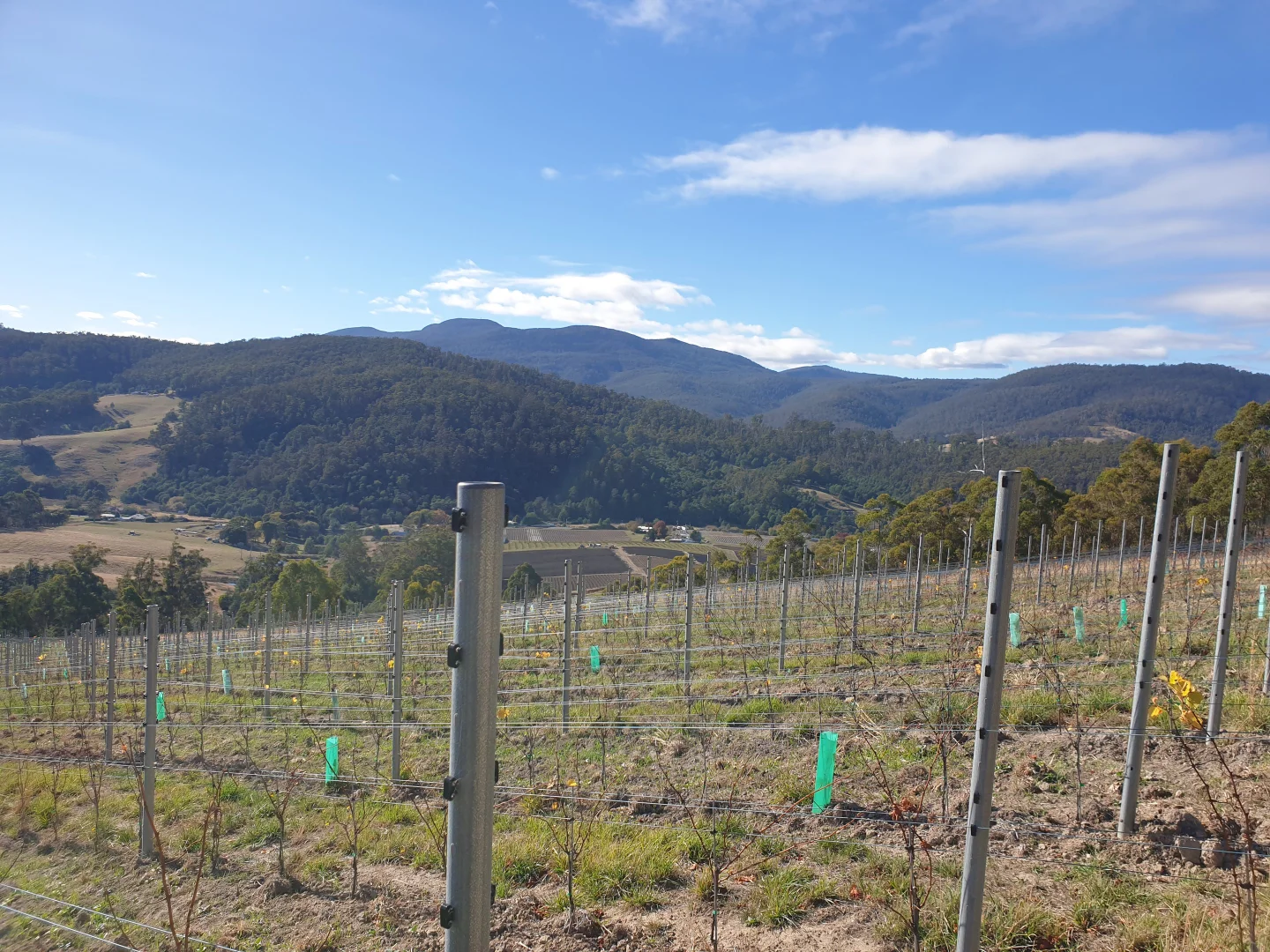 Additional image 4 of Lot 1 Wallace Road, Cygnet TAS 7112