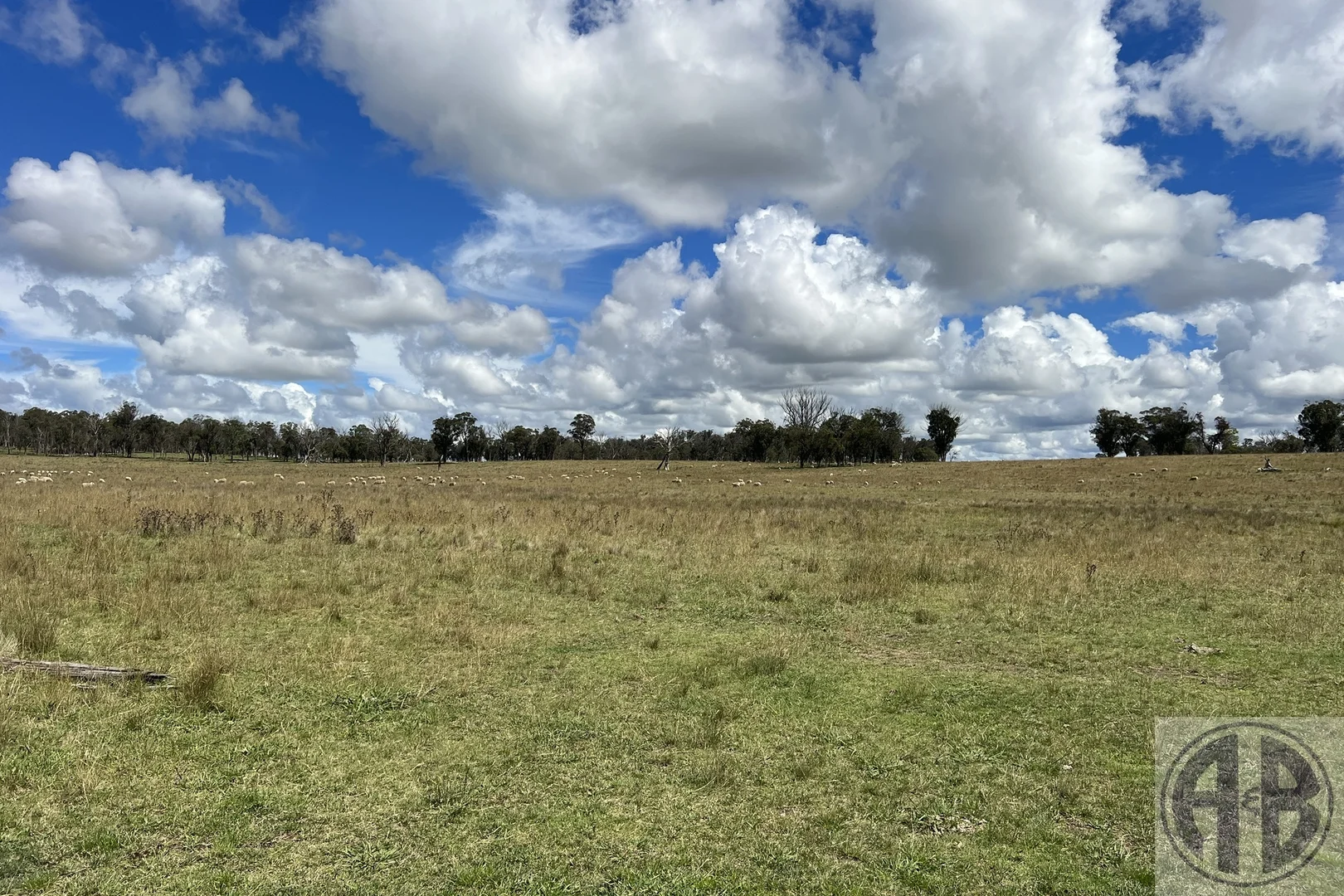 Additional image 5 of Uralla NSW 2358