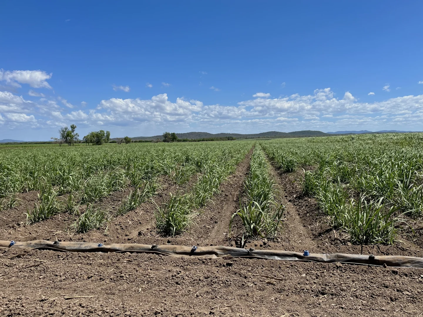 Additional image 8 of 218 Oats Road, Fredericksfield QLD 4806