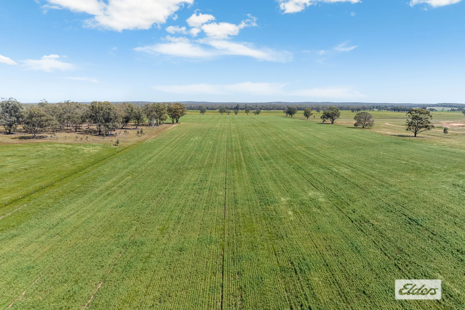 Additional image 12 of Laanecoorie-Newbridge Road, Newbridge VIC 3551