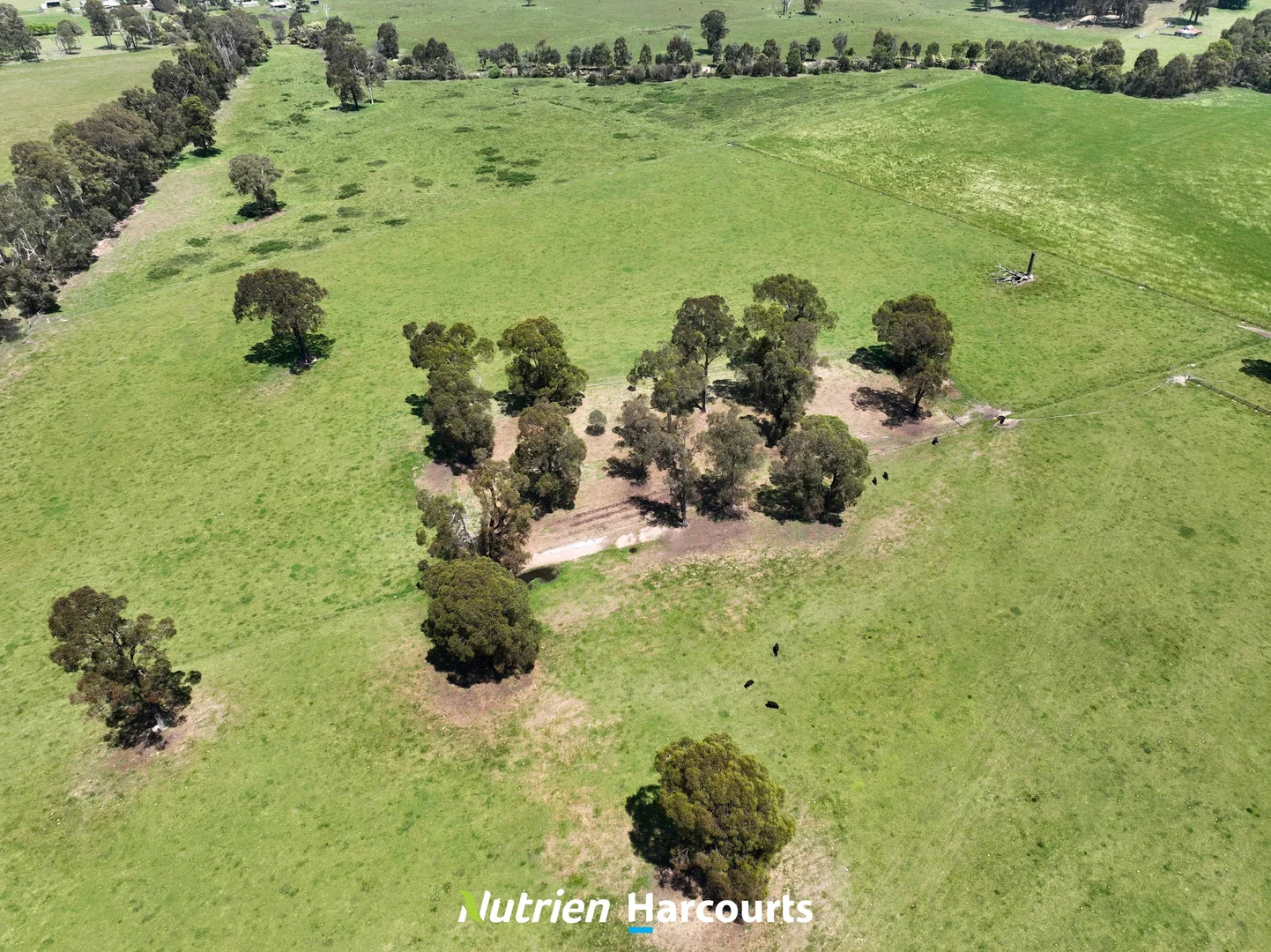 Additional image 9 of 111 Old Walhalla Road, Toongabbie VIC 3856