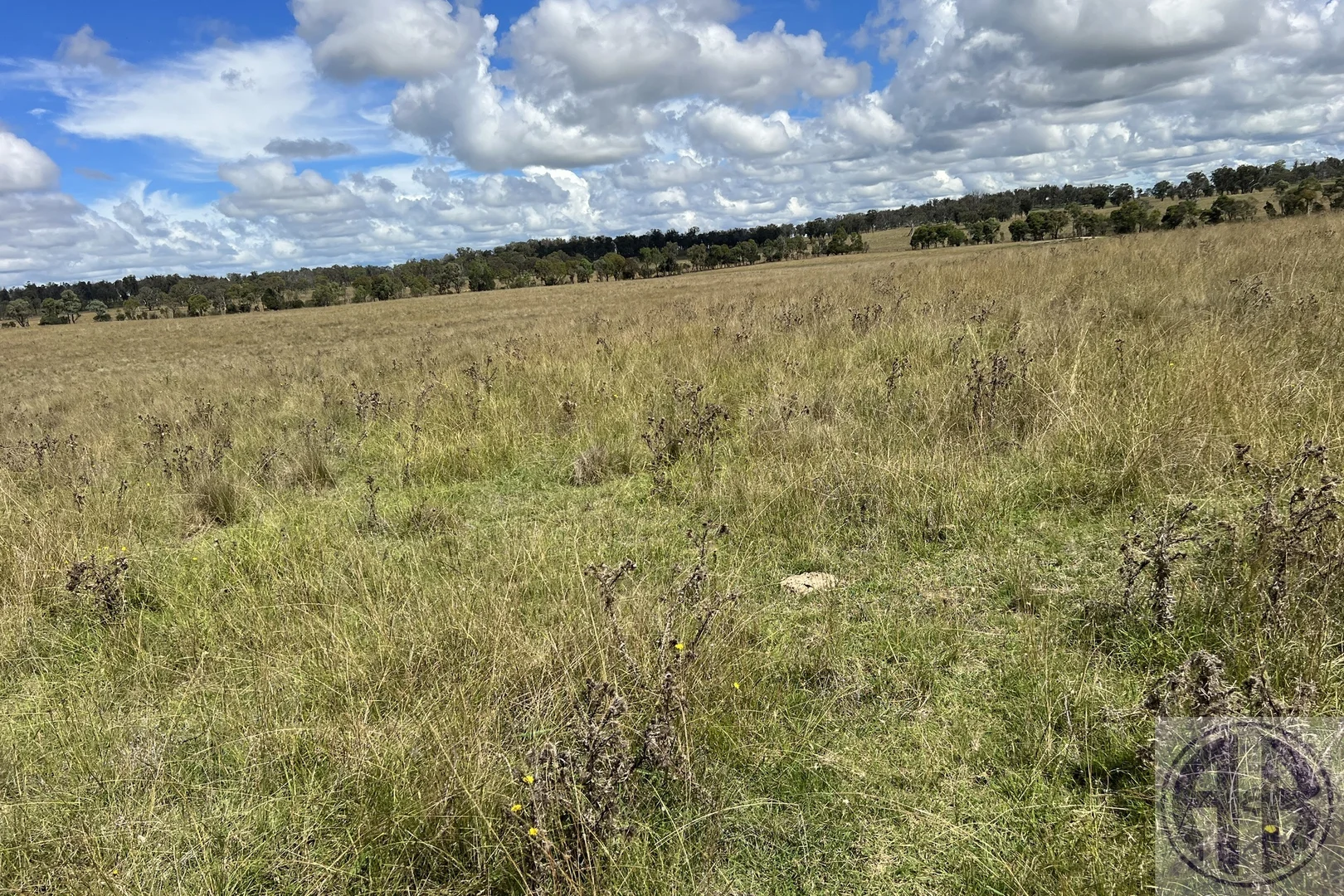 Additional image 8 of Uralla NSW 2358