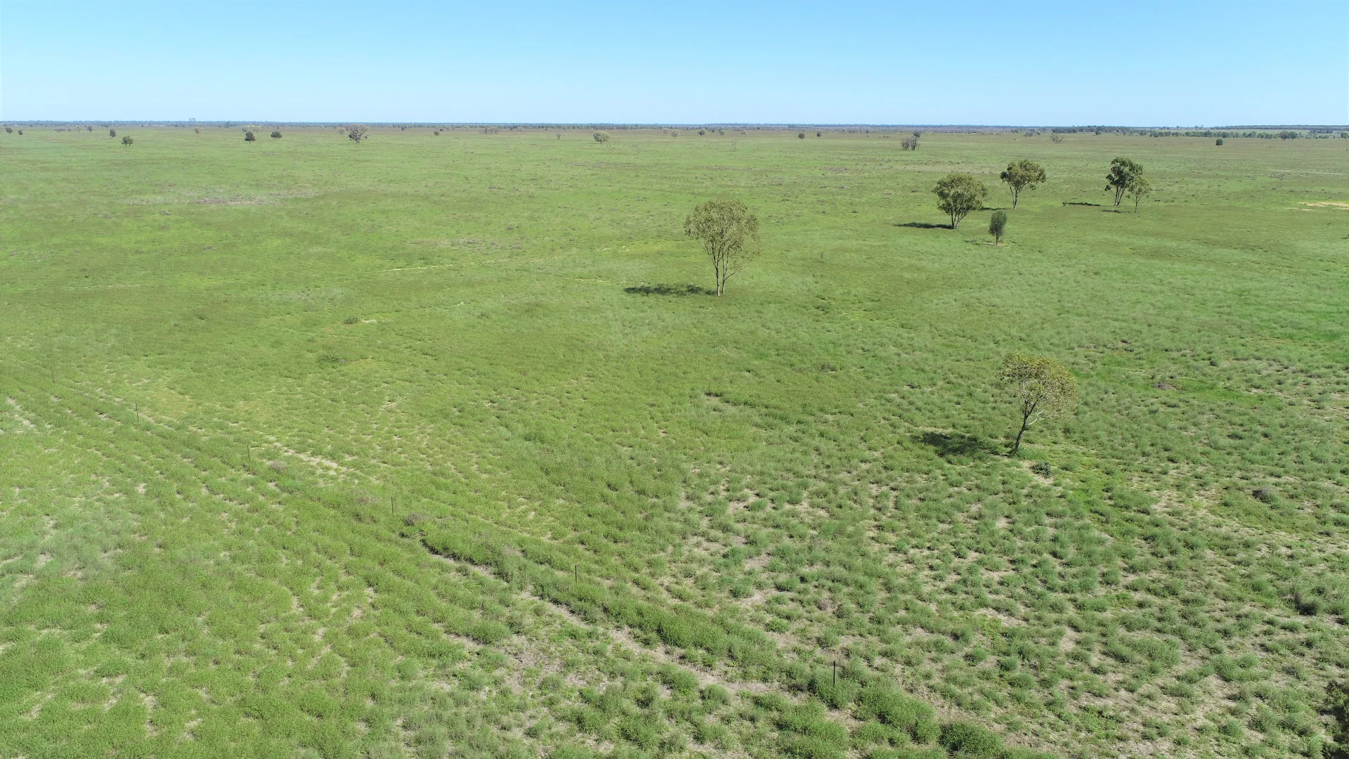 Additional image 29 of "Bonavista" 13724 Mitchell - St George road, Roma QLD 4455