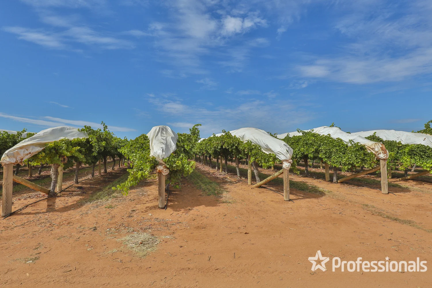 Additional image 5 of 83a Belar Avenue Extension, Irymple VIC 3498