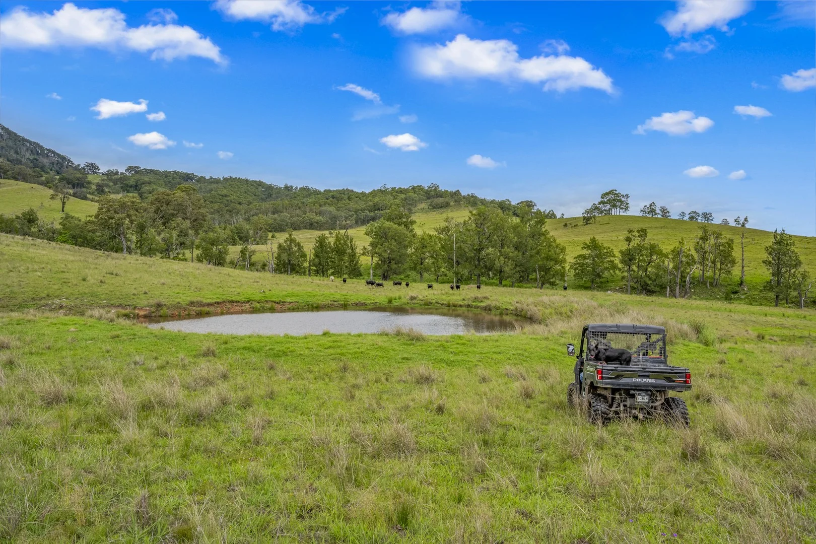 Carrowbrook Road Mount Olive, Singleton NSW 2330