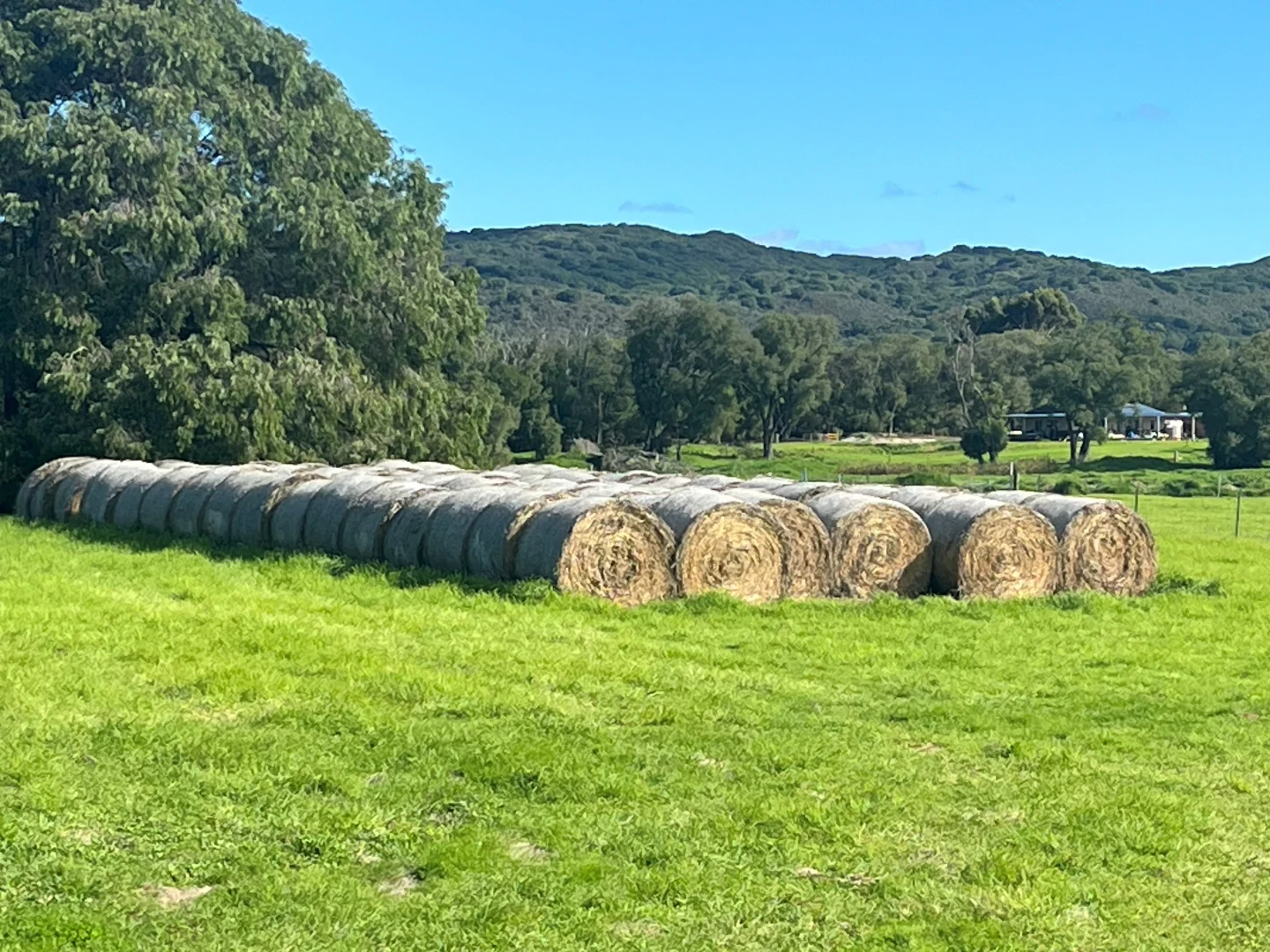 Additional image 15 of 181 Francis Road, Lowlands WA 6330