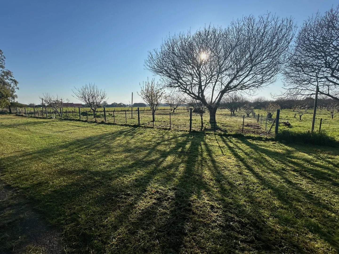 Additional image 10 of 703A James Lane, Trentham East VIC 3458