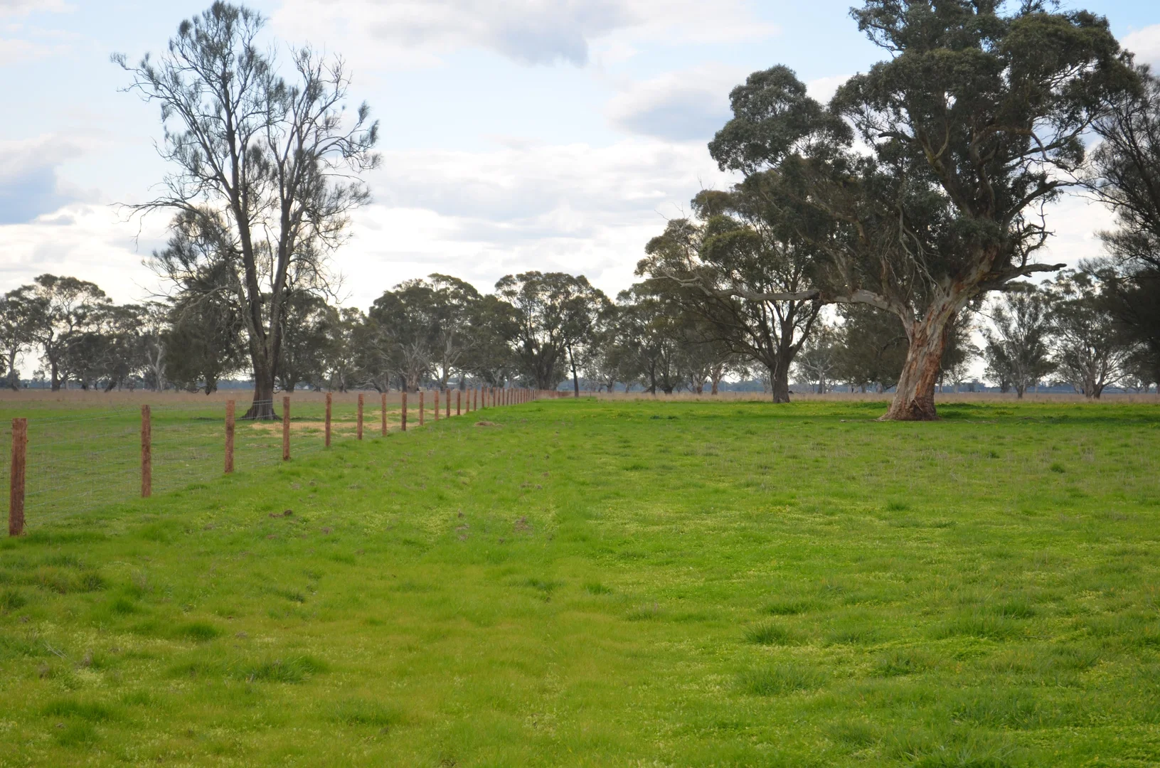 Additional image 8 of Sec 329 Tarcas Road, Frances SA 5262