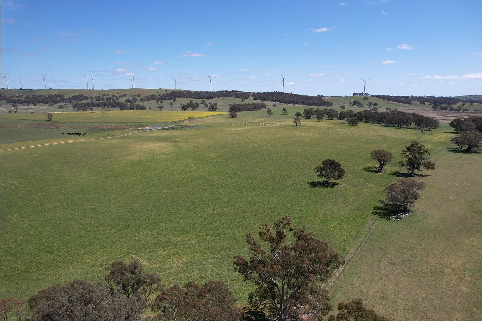 Additional image 11 of Gurrundah Road, Gunning NSW 2581