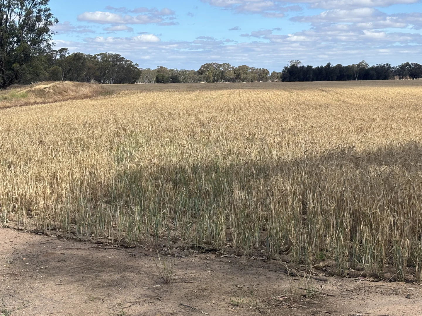 Additional image 13 of 649 Dunolly-Avoca Road, Mount Hooghly VIC 3472