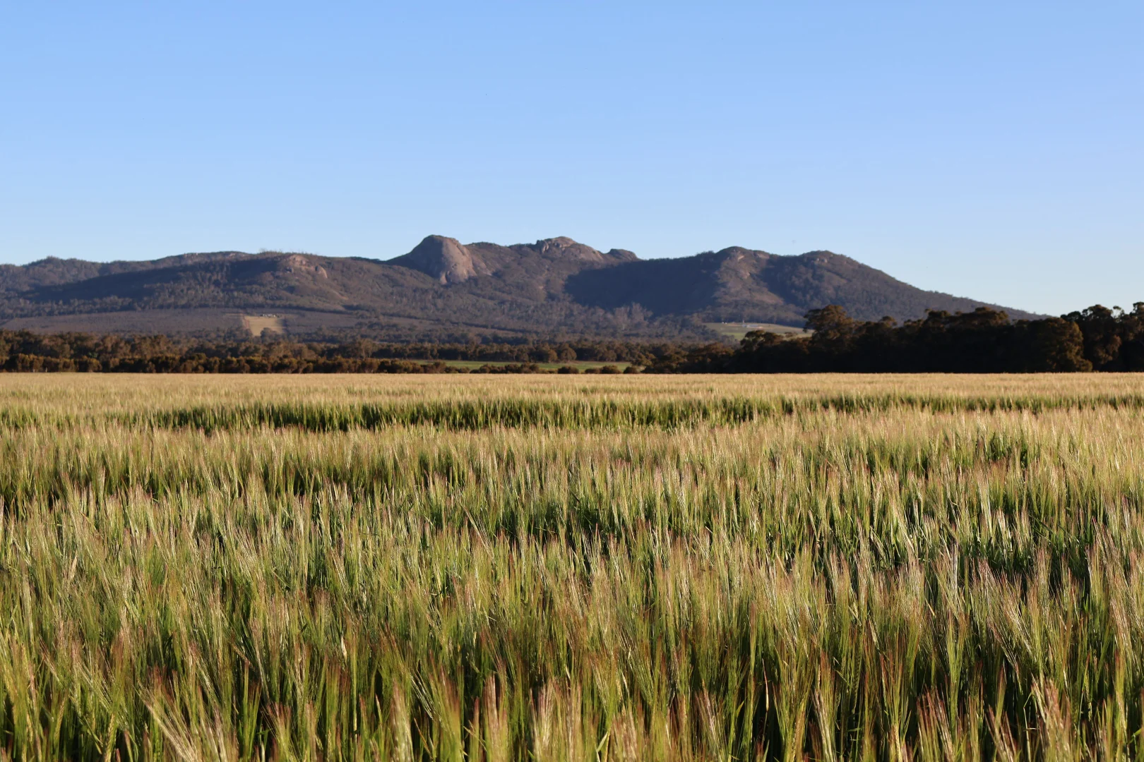 Additional image 16 of 491 Knight Road, Porongurup WA 6324