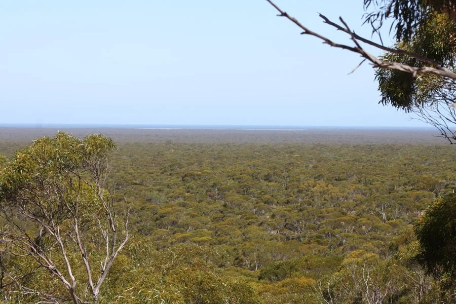 Additional image 12 of Section 6 Old Telegraph Road, Midgee SA 5602