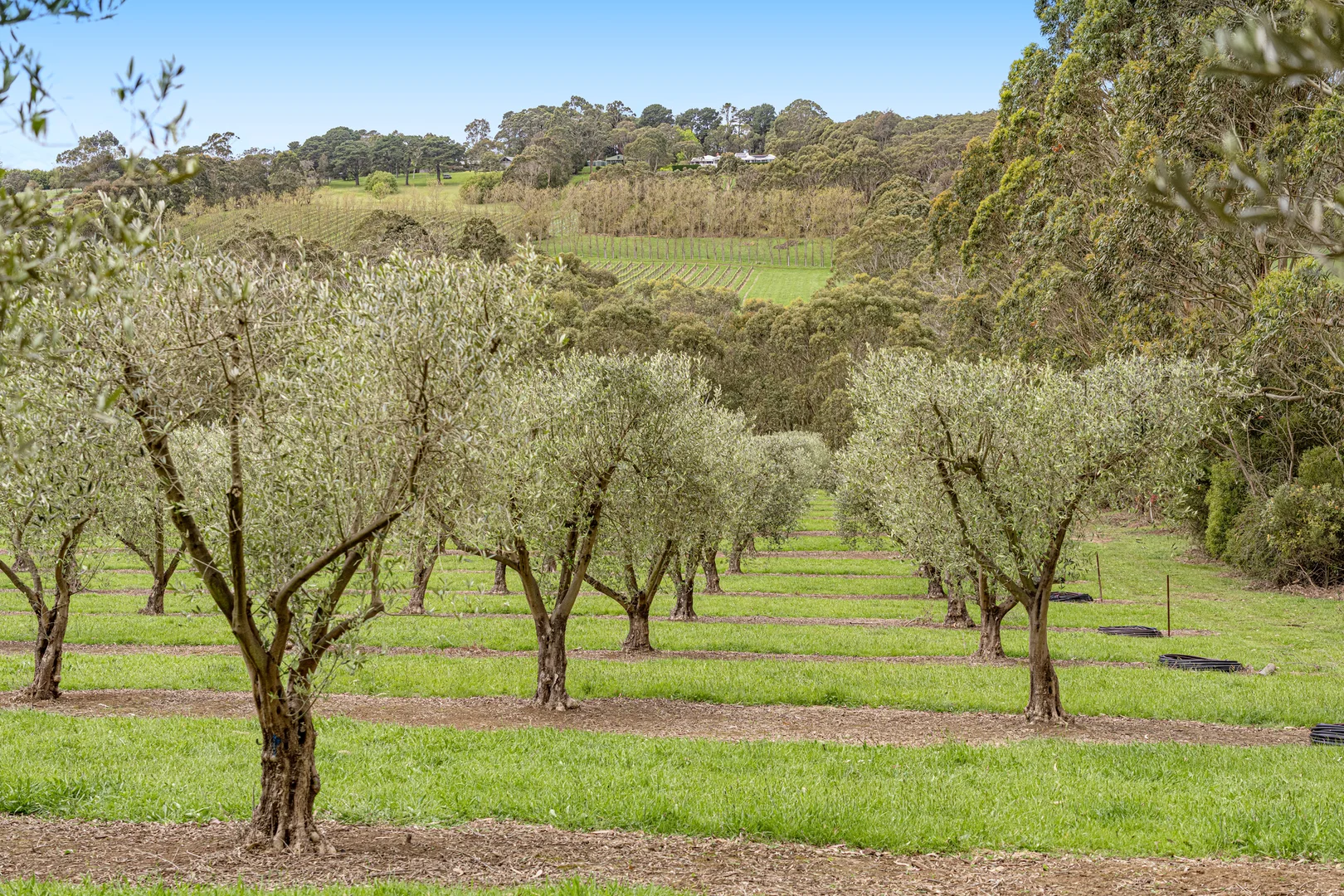 Additional image 19 of 23 Bright Lane, Main Ridge VIC 3928