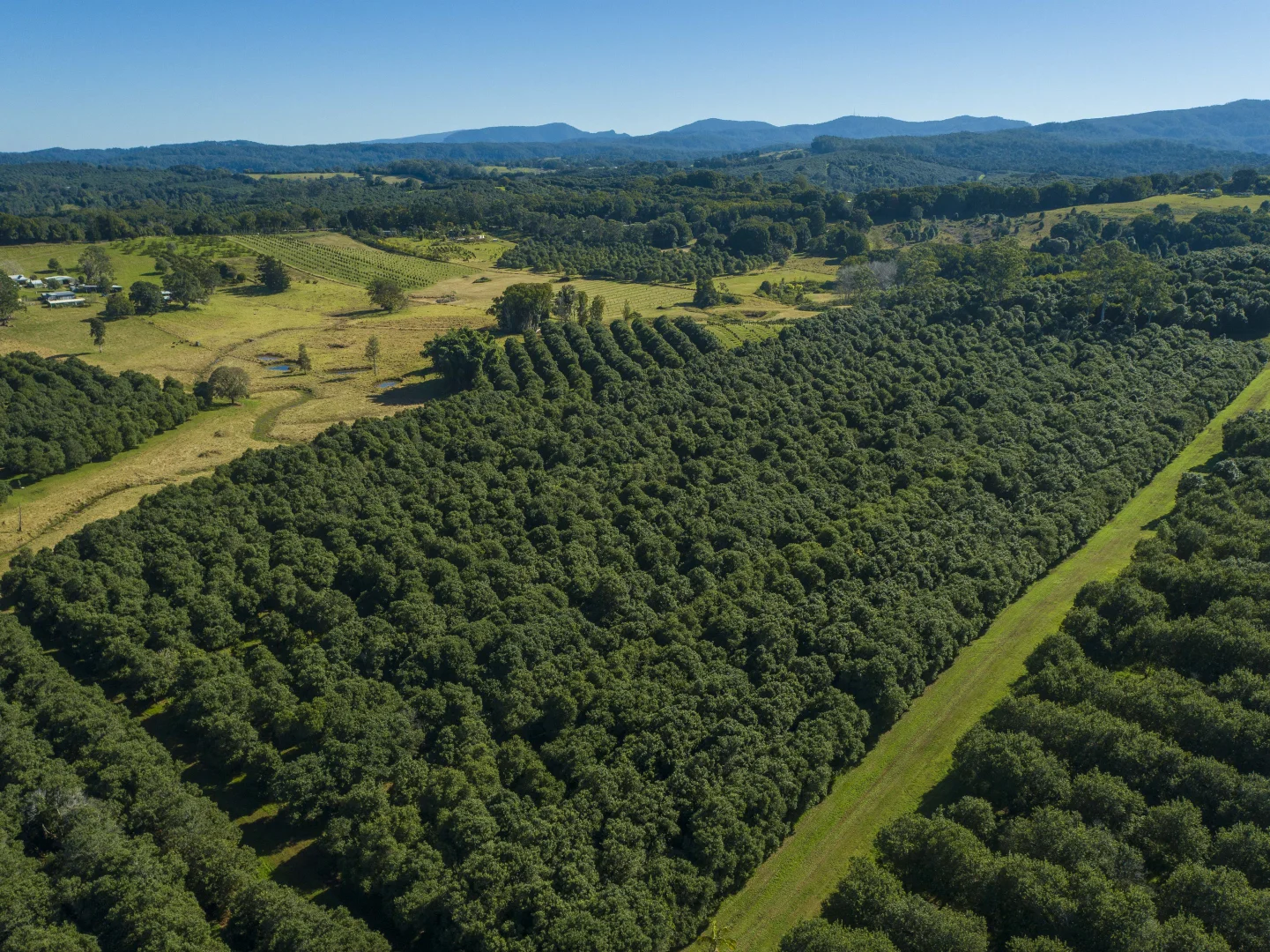 Additional image 9 of 1808 Dunoon Road, Dunoon NSW 2480