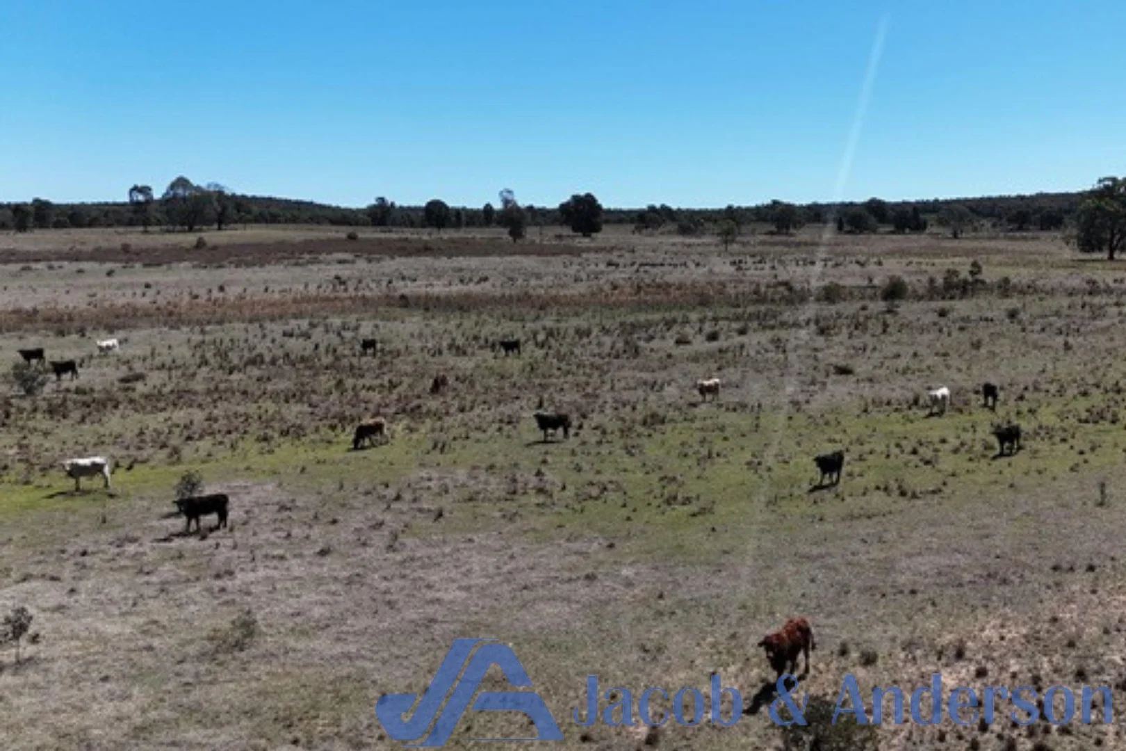 Additional image 19 of 188 Bullarook Road, Coolah NSW 2843