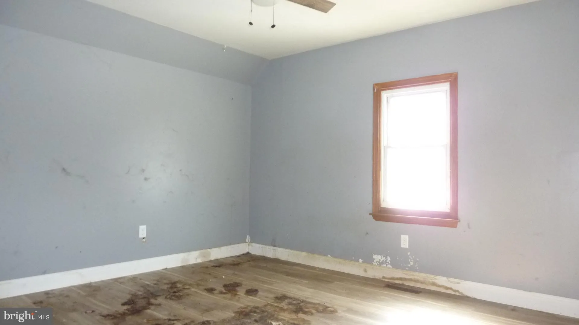 Additional image 20 of 41 Commerce Street, Cheswold, DE 19936