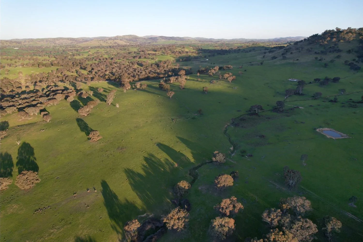 Additional image 11 of 0 Glengarry Road, Binalong NSW 2584