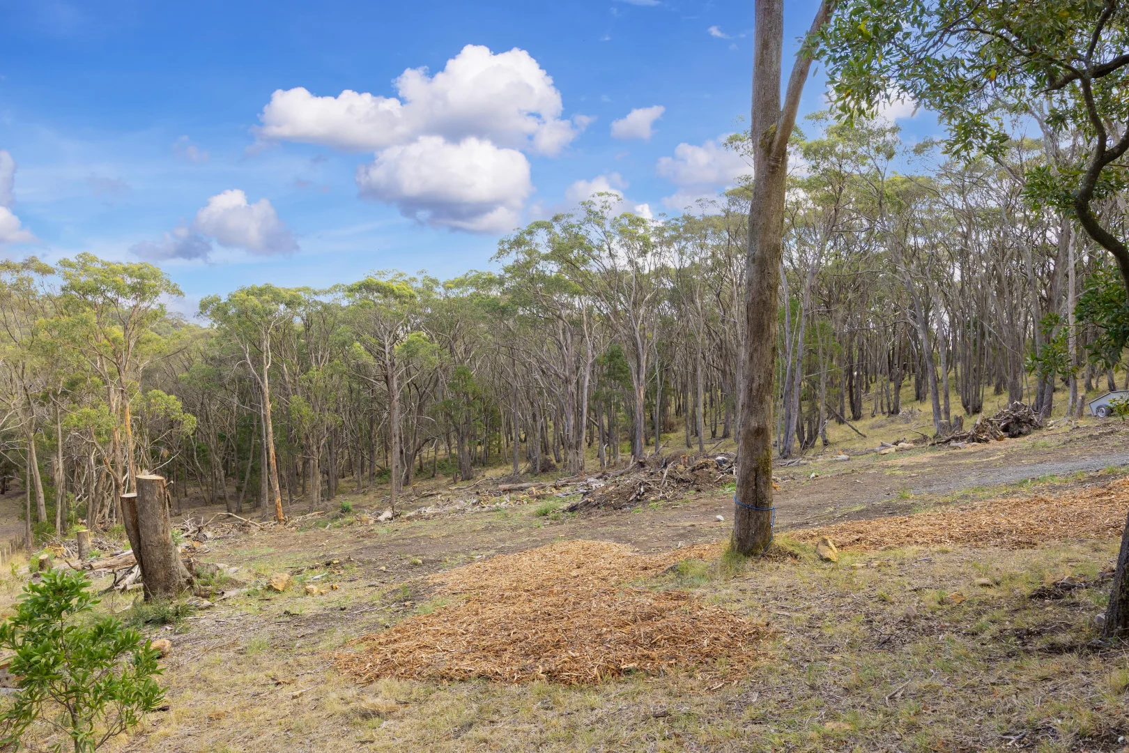 Additional image 6 of 104 Trounces Lane, Mount Egerton VIC 3352