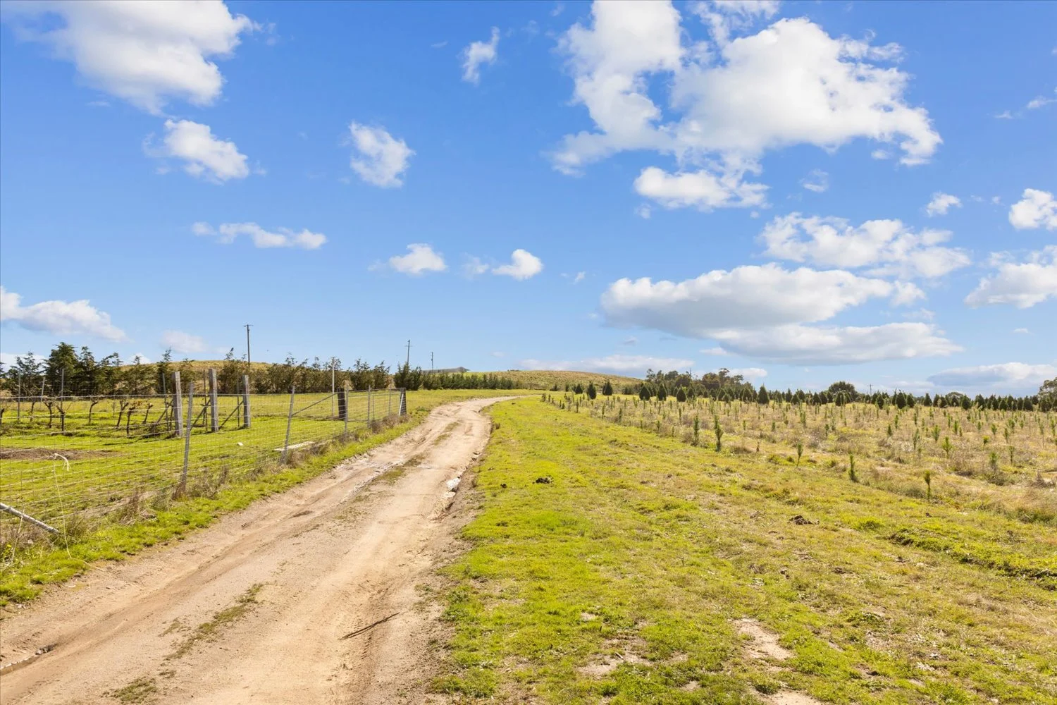 Additional image 29 of 134 Lakeview Road, Tarago NSW 2580