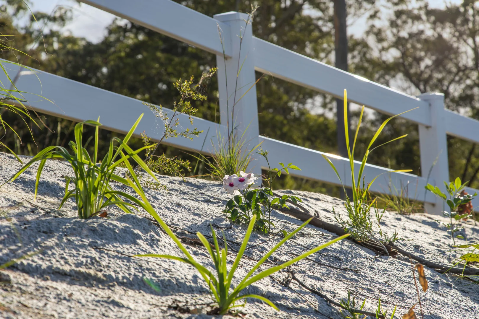 Additional image 20 of 1-9/11 Tanglewood Drive, Tanglewood NSW 2488