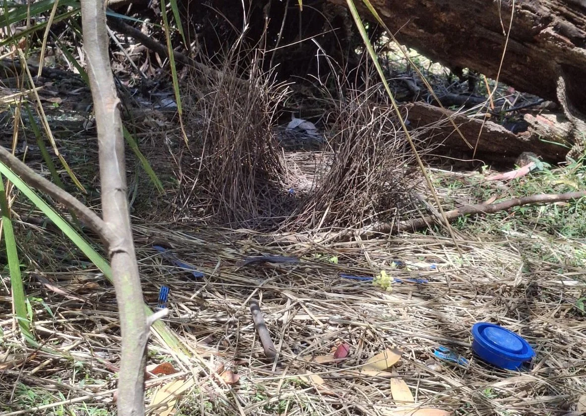 Additional image 31 of 1348C Old Princes Highway, Brooman NSW 2538