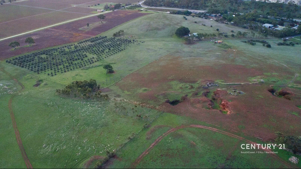 Additional image 8 of Lot 404 Richard Street, Penrice SA 5353