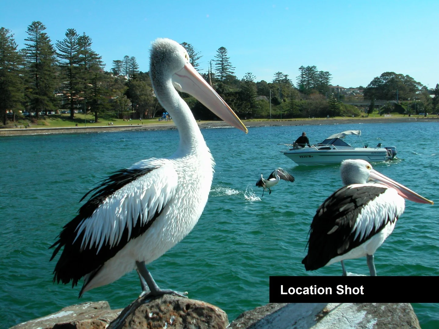 Additional image 5 of Lot 42/136a Shoalhaven Street, Kiama NSW 2533