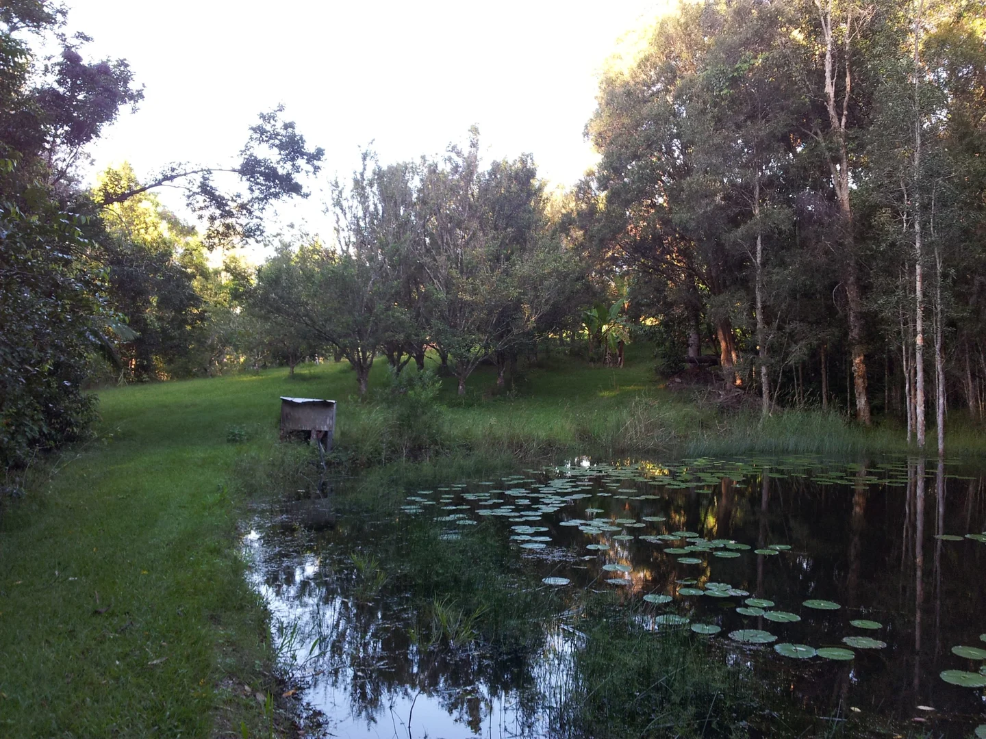 Additional image 29 of 74 Sudholz Road, Verrierdale QLD 4562