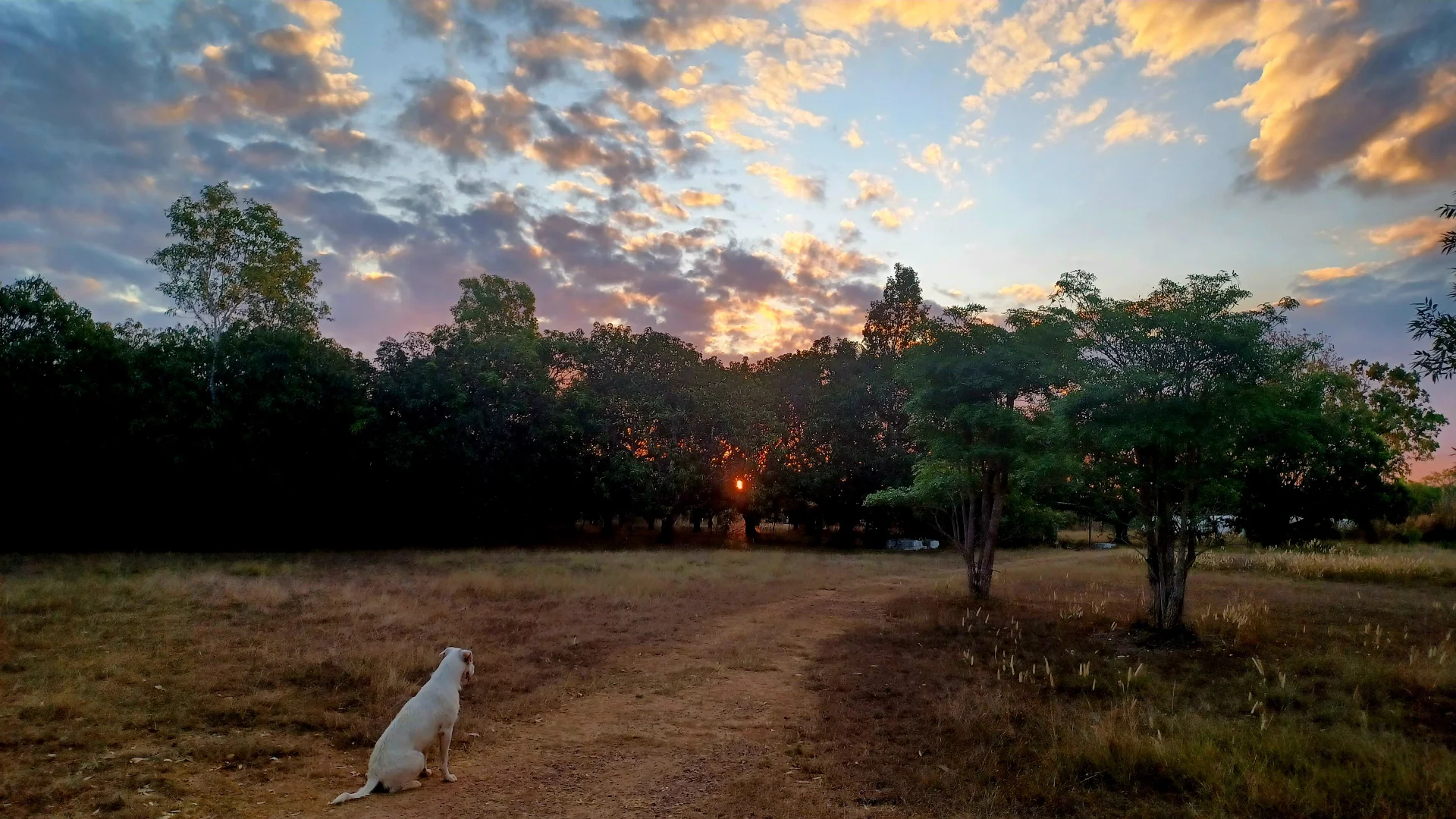 Additional image 19 of 685 Miles Road, Eva Valley NT 0822