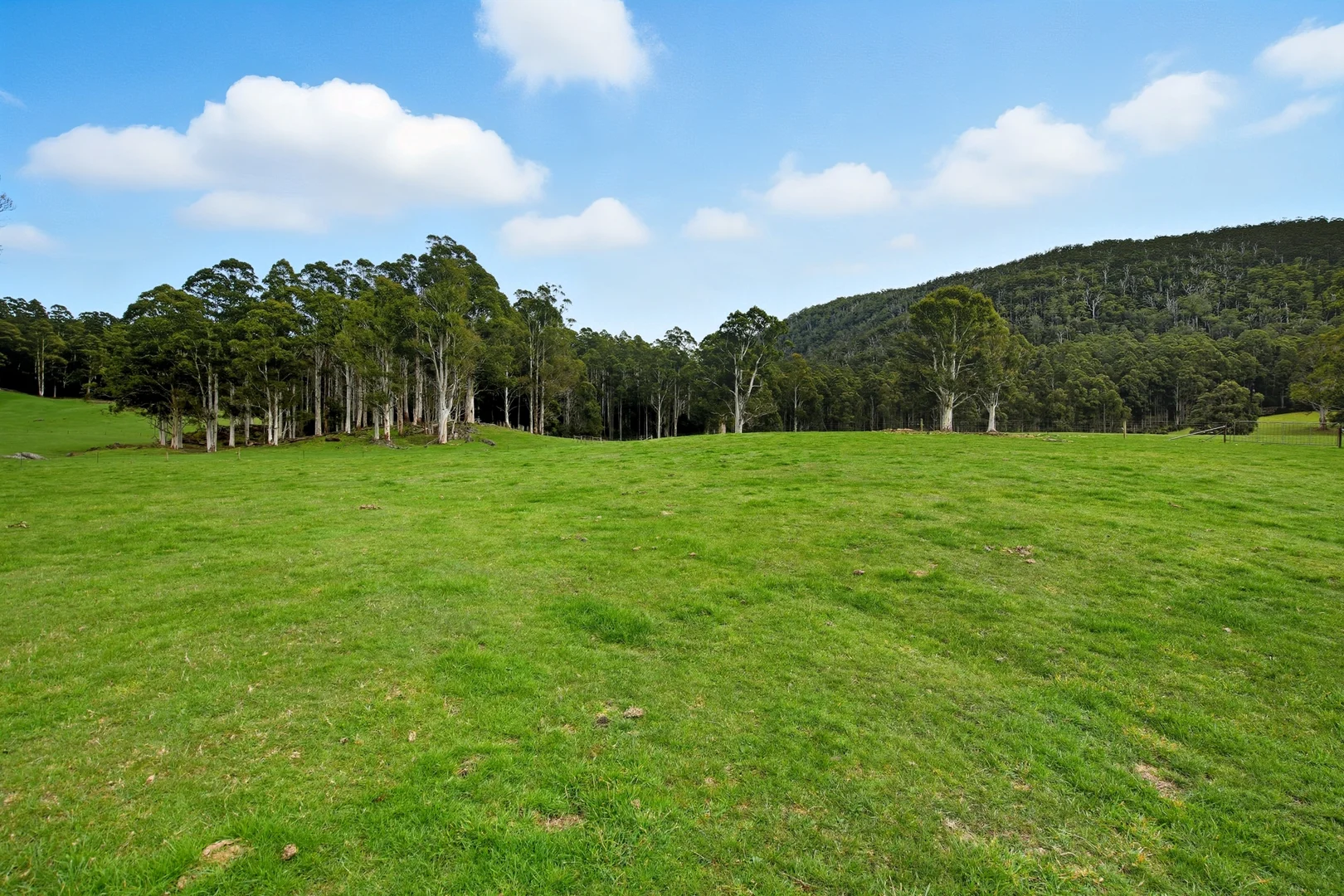 Additional image 11 of 64 Mersey Forest Road, Liena TAS 7304