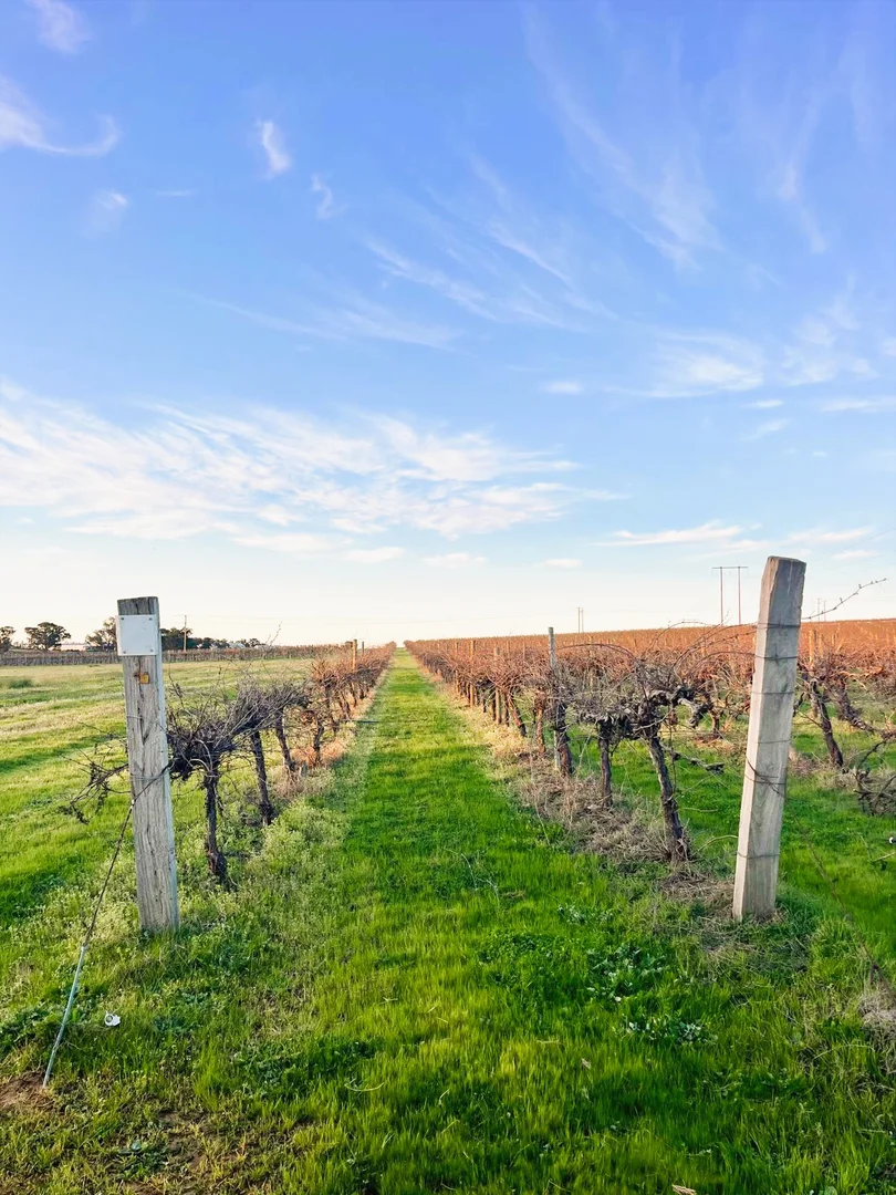 Additional image 4 of 106 Anderson Lane, Cowra NSW 2794