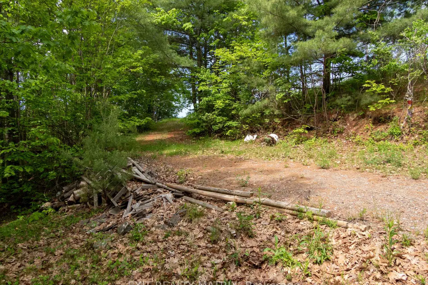 Additional image 14 of 12654 Lanark Road