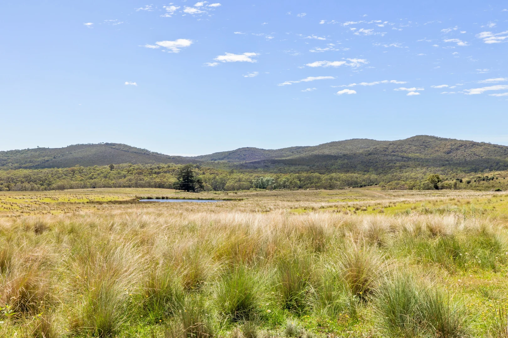 Additional image 13 of 6 Silvertop Lane, Krawarree NSW 2622