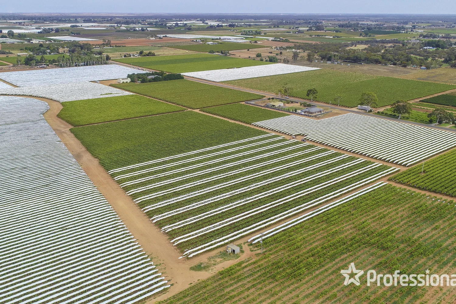 Additional image 4 of 83a Belar Avenue Extension, Irymple VIC 3498