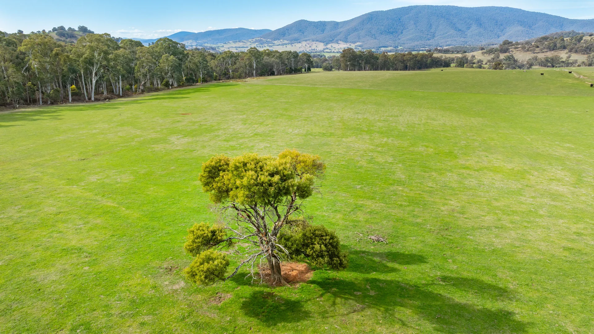 Additional image 7 of 130 Martin Lane, Yackandandah VIC 3749