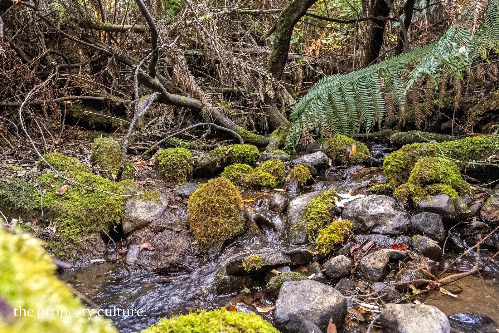 Additional image 19 of 126 New Road, Franklin TAS 7113