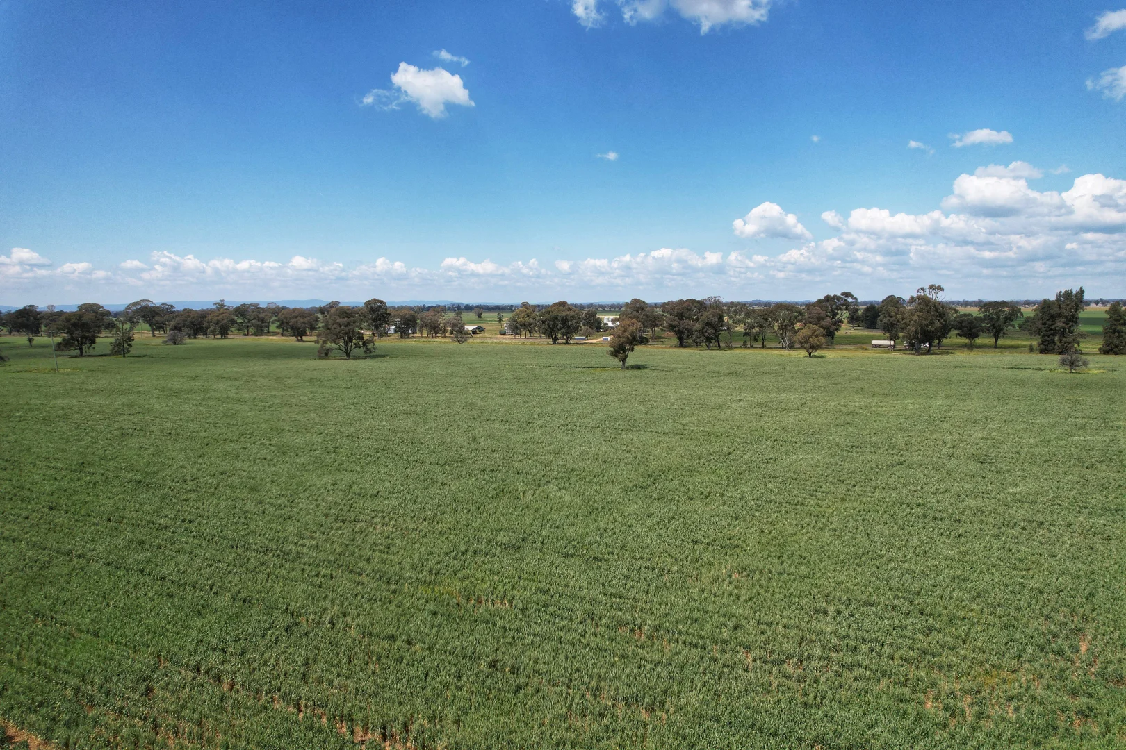 Additional image 9 of Part Rosewood Taweni Road, Peak Hill NSW 2869