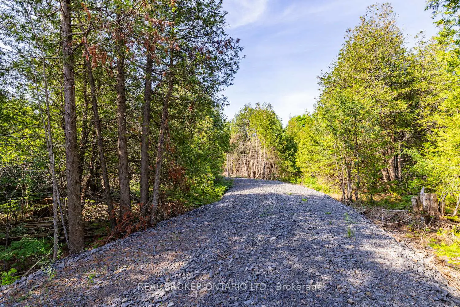 Lot 3 Kyle Road photo 4
