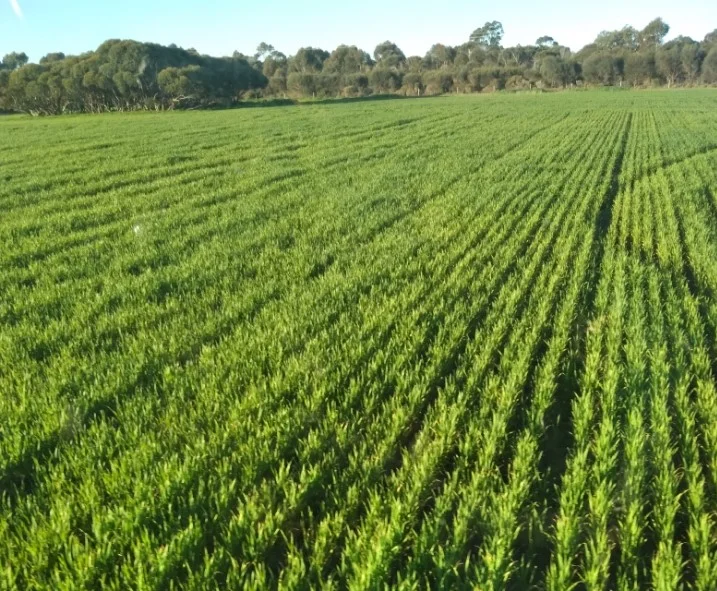 Additional image 11 of 105 Tod Highway, Fountain SA 5607