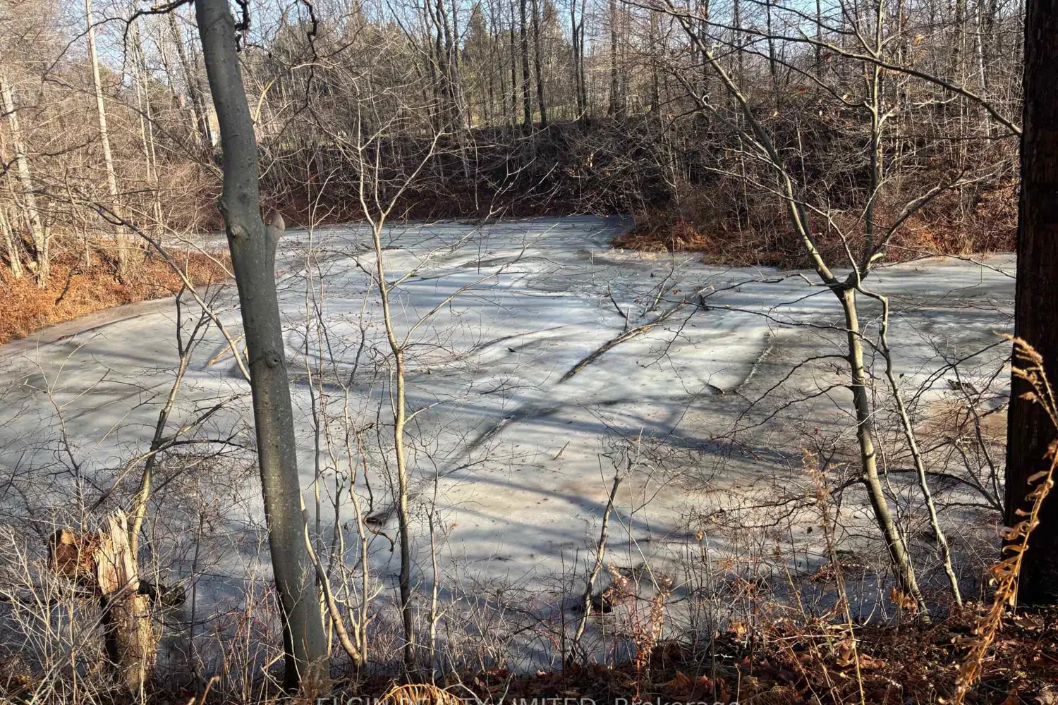 Additional image 7 of 46420 Methodist St. Street