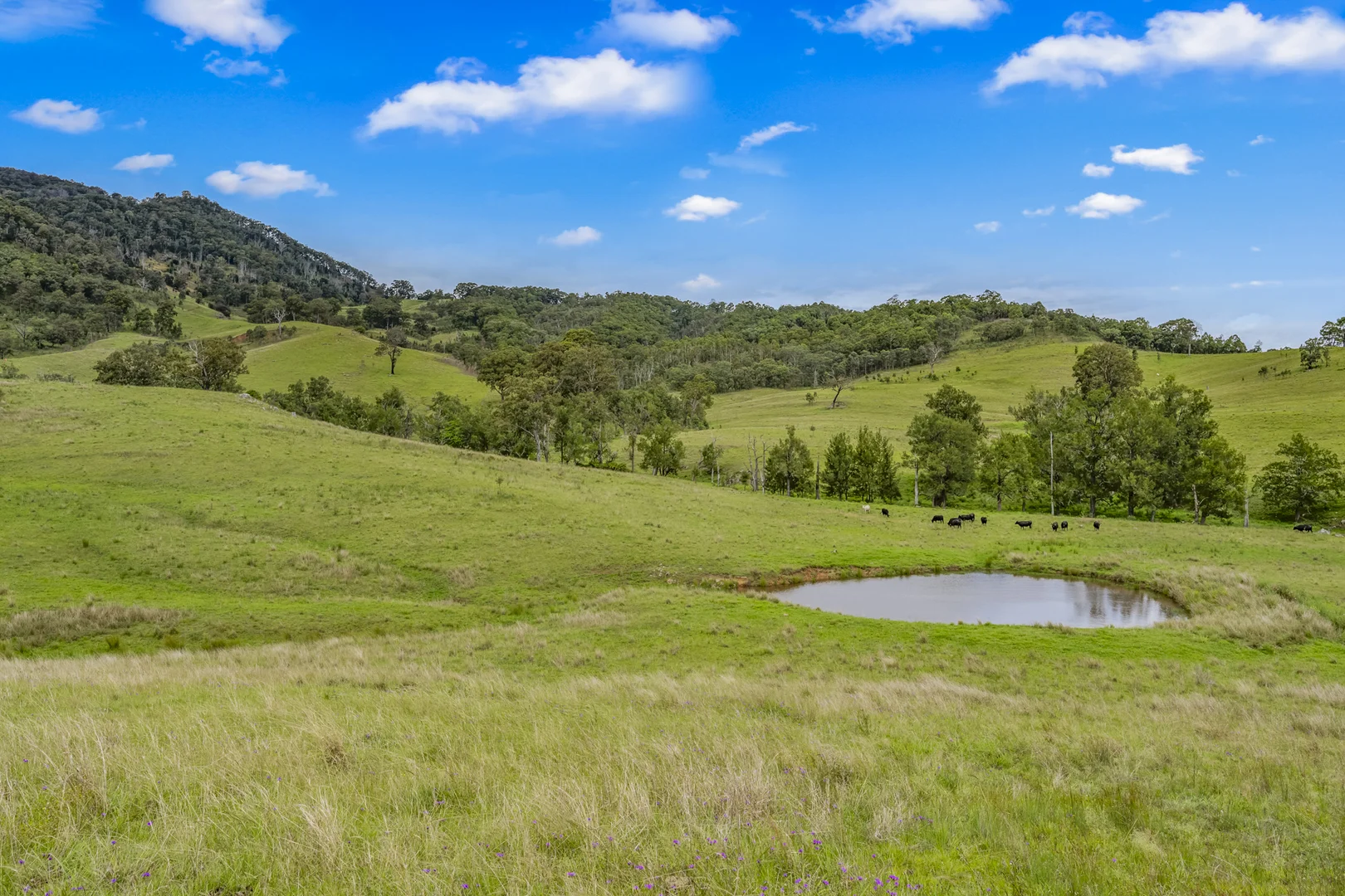 Additional image 12 of Carrowbrook Road Mount Olive, Singleton NSW 2330