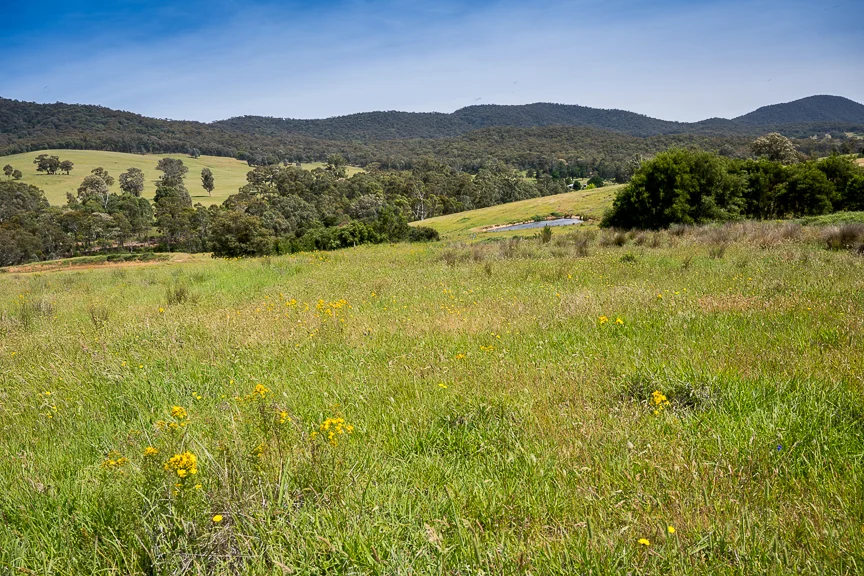 Additional image 8 of Lots 4 & 8 Tatong-Tolmie Rd, Tatong VIC 3673